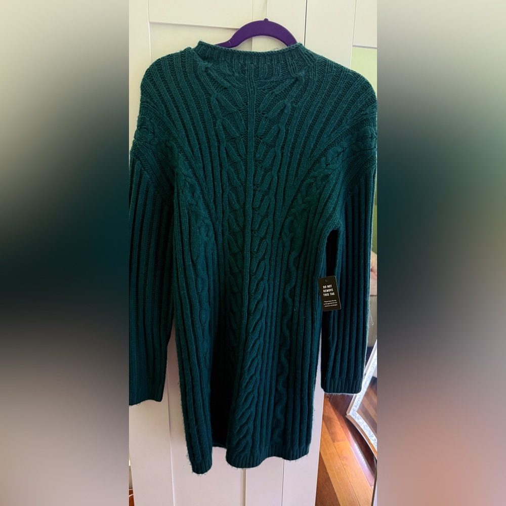 EXPRESS Knit Dress